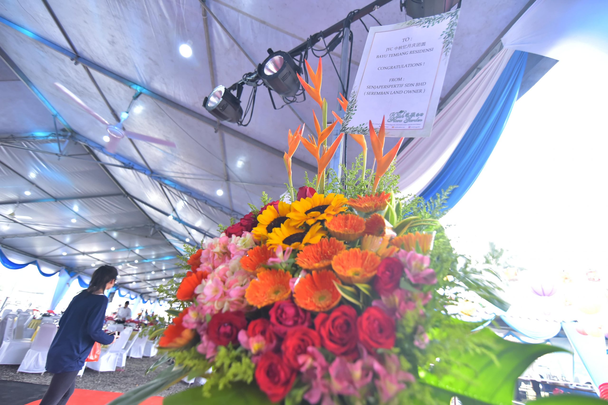 CKP_3402-min CKP_3402-min