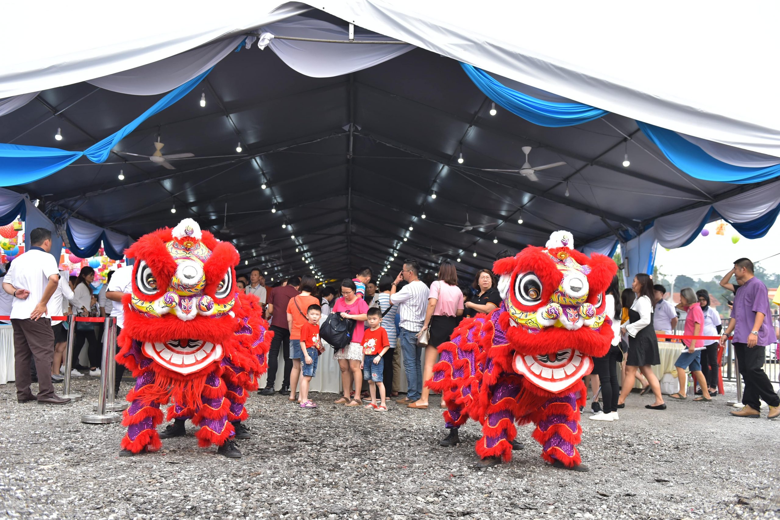 CKP_3597-min CKP_3597-min